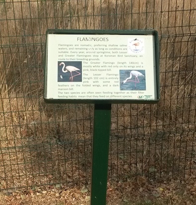 Flamingo Information board
